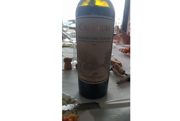 Il gastroenologo consiglia… Calaturi 2013, Aglianico di Tenuta I Gelsi