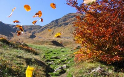 Previsioni meteo in Basilicata dal 27 al 29 Settembre (a cura di Germano Di Leo)