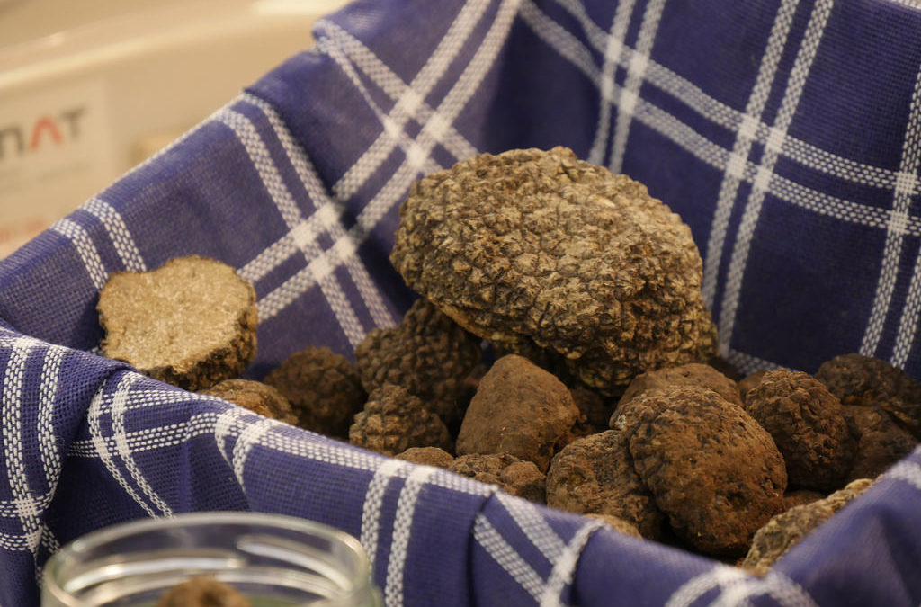 Il cibosofo e il tartufo