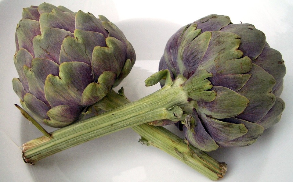 Il cibosofo e il carciofo