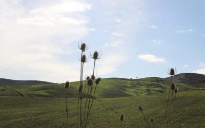 Previsioni meteo in Basilicata dal giorno 23 al 29 Luglio (a cura di Meteo7.it)