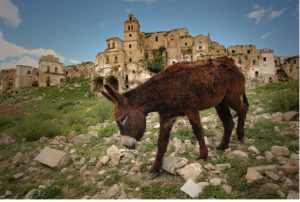 La foto di Paolo Pergola di Sant'Arcangelo