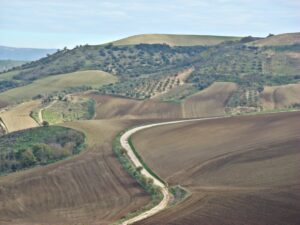 I campi del venosino