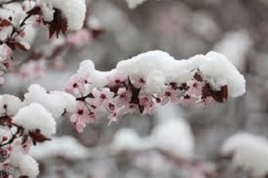 Previsioni meteo in Basilicata dal giorno dal 14 al 17 Mar (a cura di Germano Di Leo – Meteorologo AMPRO)