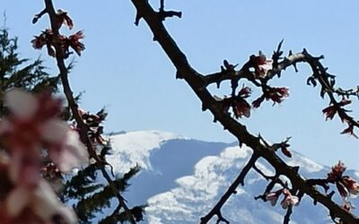 Previsioni meteo in Basilicata: Aprile…non ti scoprire ( a cura di Germano Di Leo – Meteorologo AMPRO)