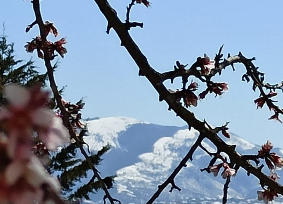 Previsioni meteo in Basilicata: Aprile…non ti scoprire ( a cura di Germano Di Leo – Meteorologo AMPRO)