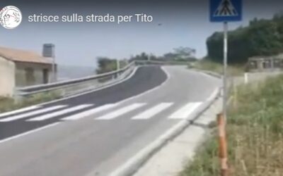 VIDEO – Quei passaggi pedonali senza… pedoni